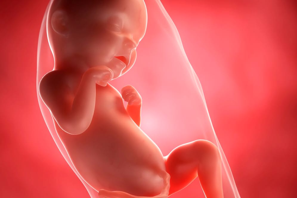 Schwangerschaftskalender: 31. SSW
