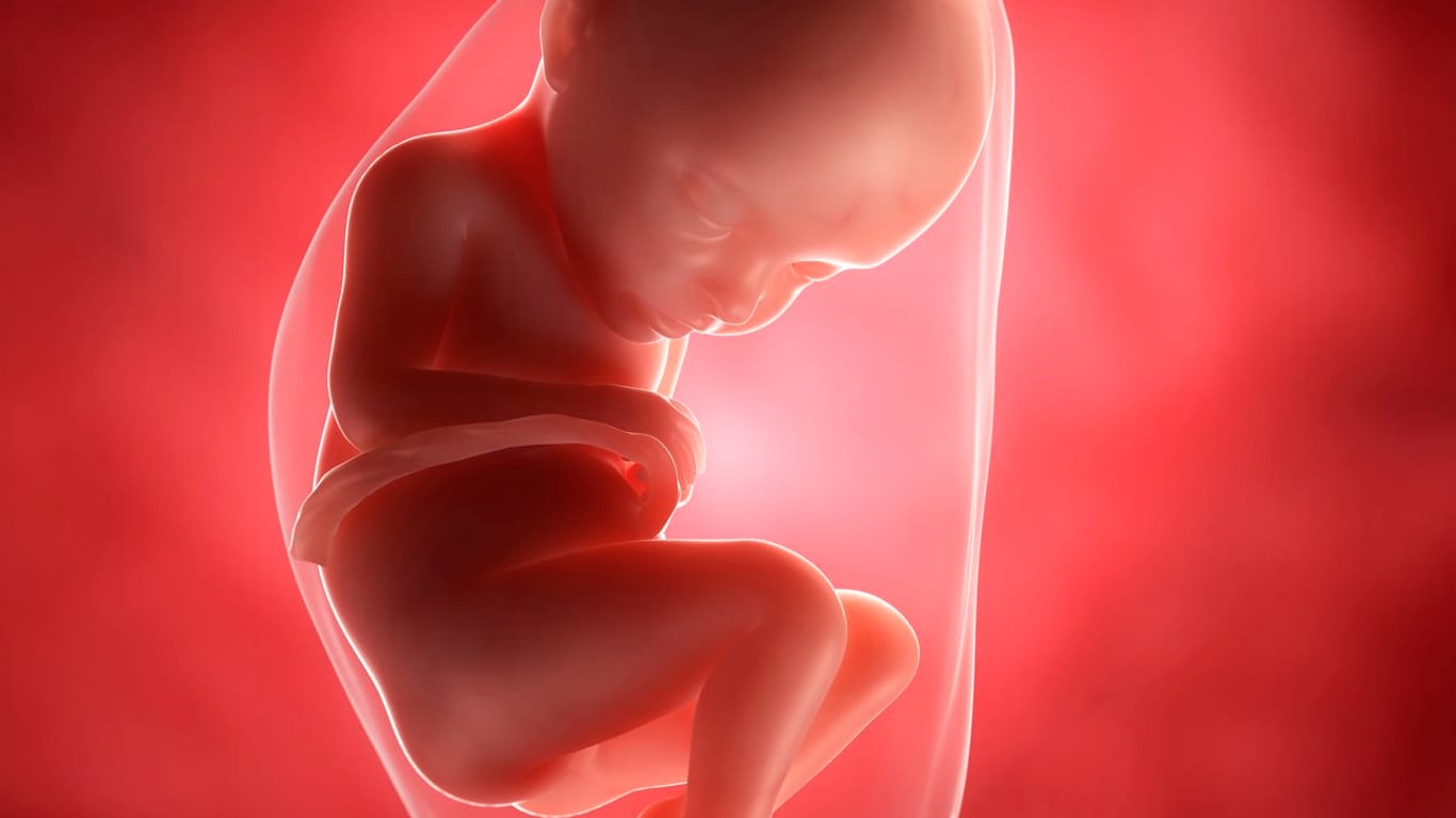 Schwangerschaftskalender: 32. SSW