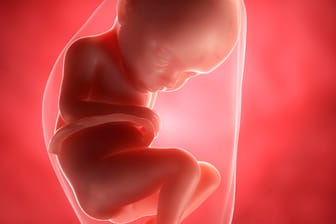 Schwangerschaftskalender: 32. SSW