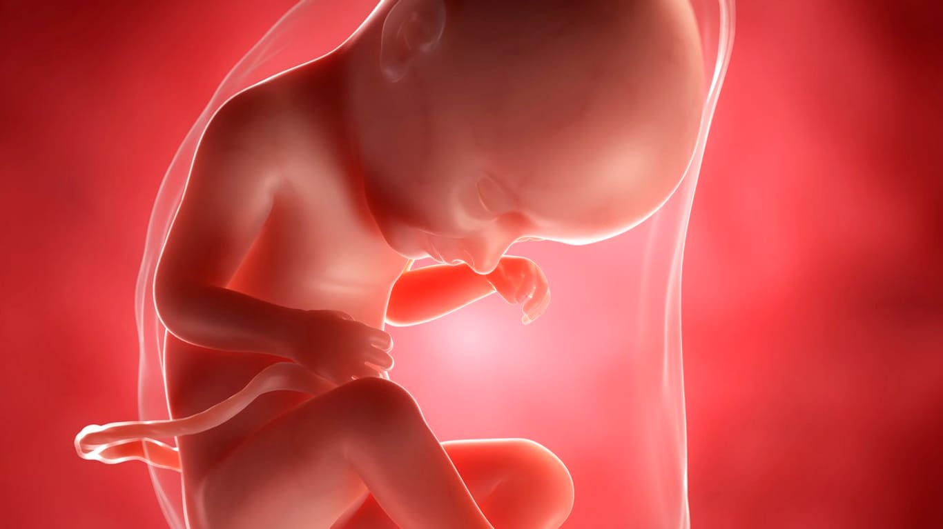 Schwangerschaftskalender: 33. SSW