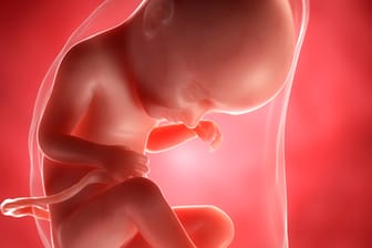 Schwangerschaftskalender: 33. SSW