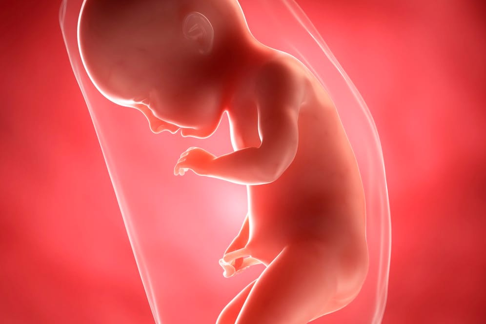 Schwangerschaftskalender: 34. SSW