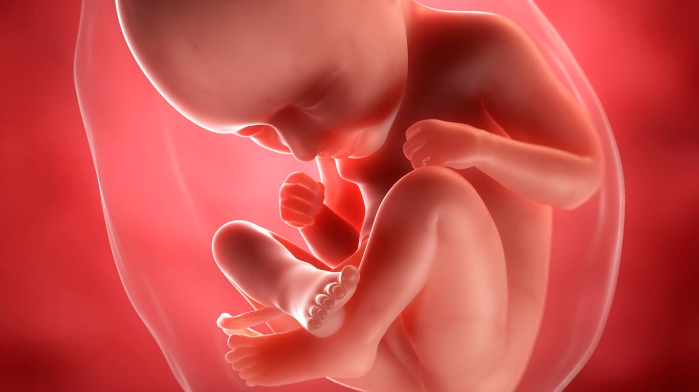 Schwangerschaftskalender: 35. SSW