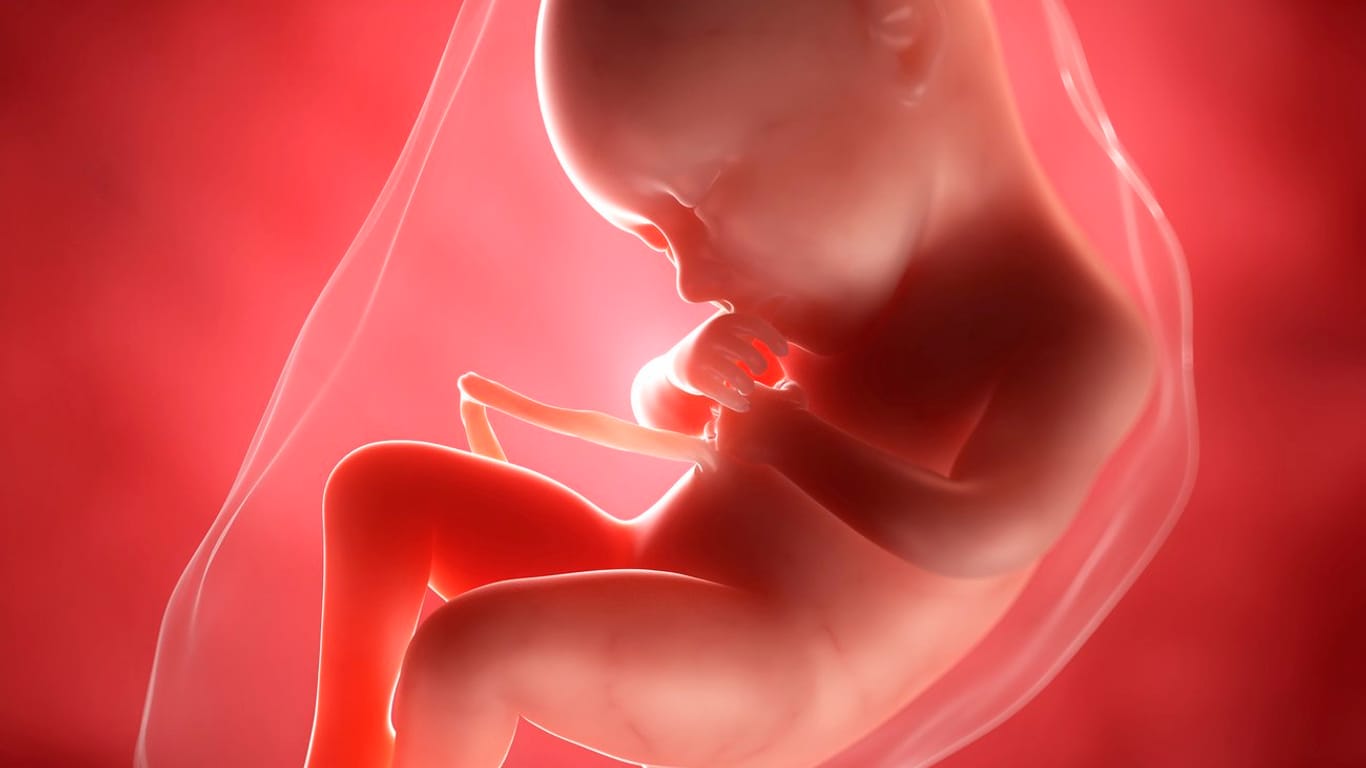 Schwangerschaftskalender: 36. SSW