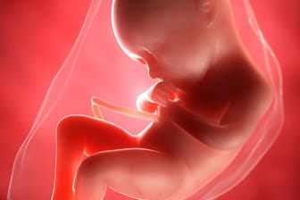 Schwangerschaftskalender: 36. SSW
