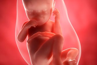 Schwangerschaftskalender: 27. SSW