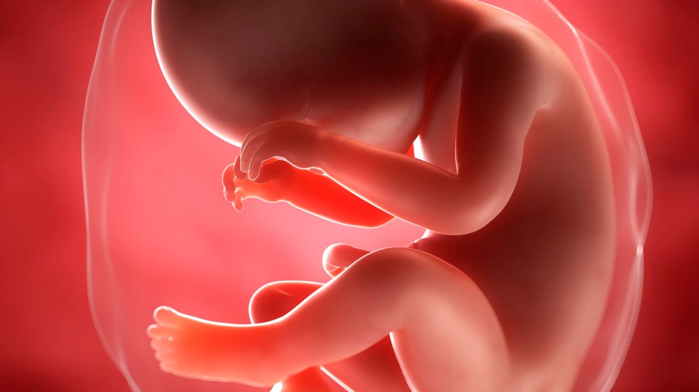 Schwangerschaftskalender: 38. SSW