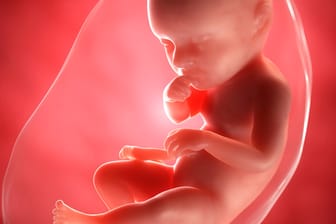 Schwangerschaftskalender: 39. SSW