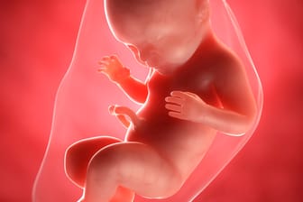 Schwangerschaftskalender: 40. SSW