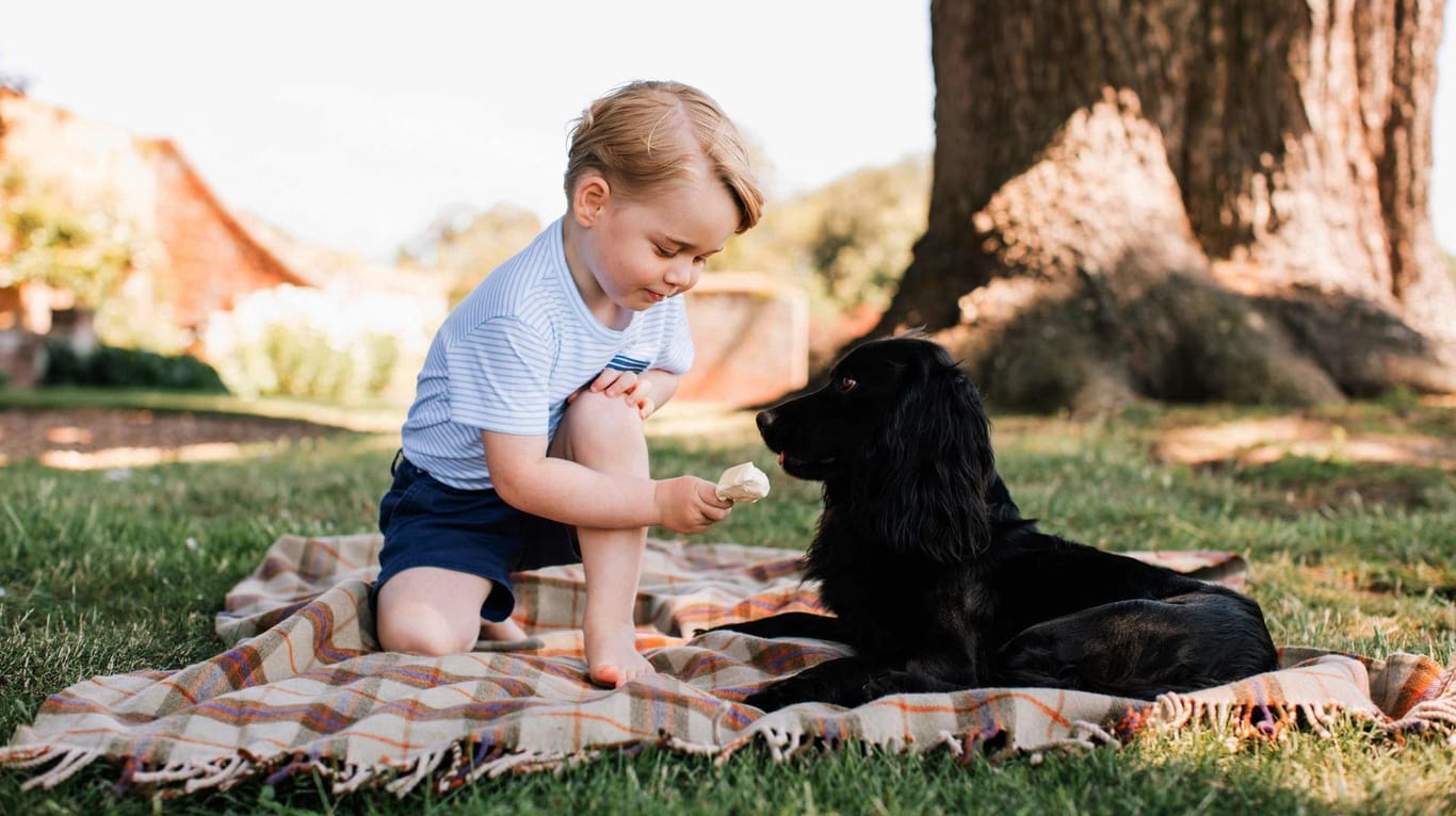 Prinz George spielt mit Hund Lupo.