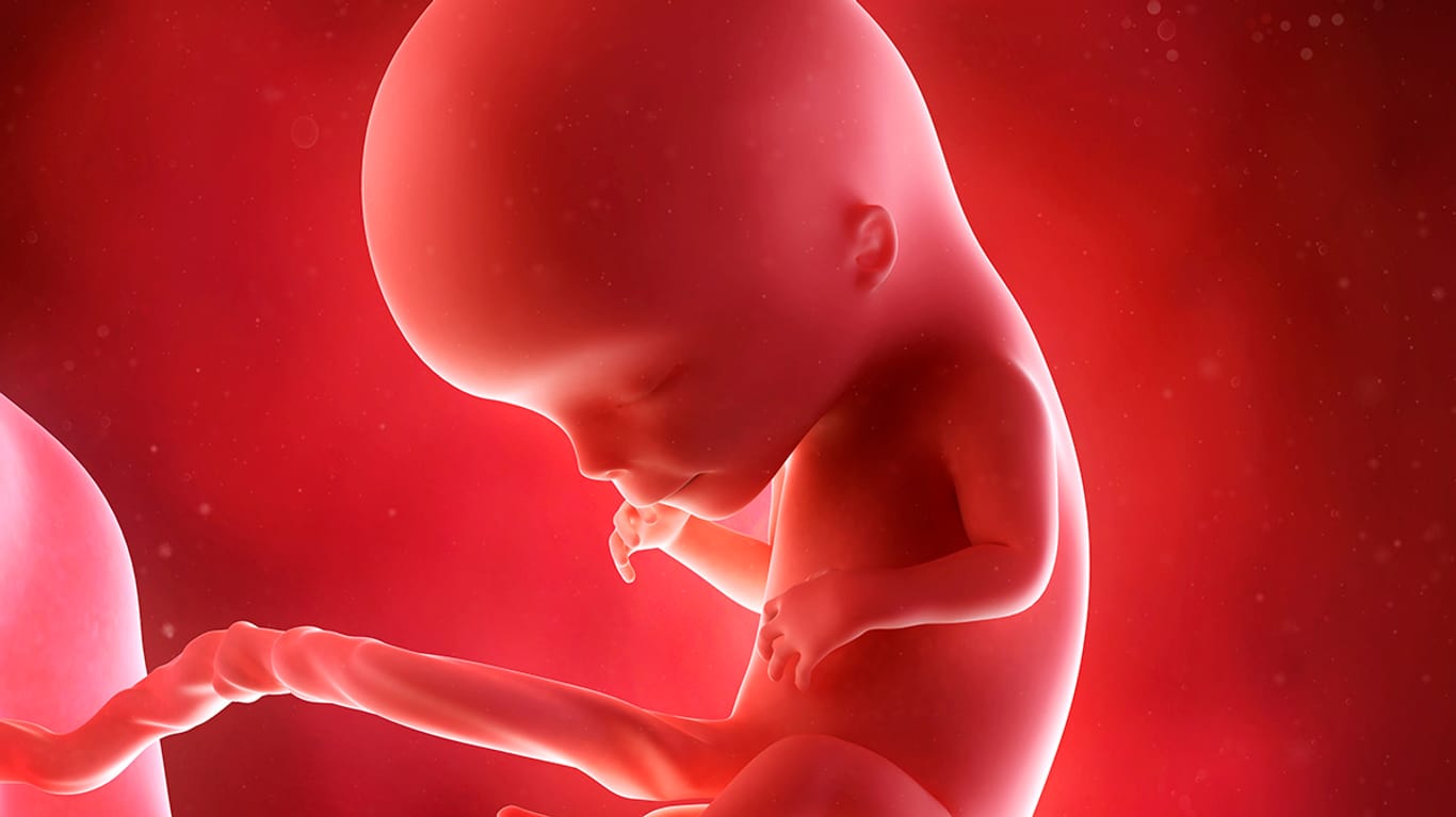 Schwangerschaftskalender: Größe und Gewicht des Babys in der 13. SSW
