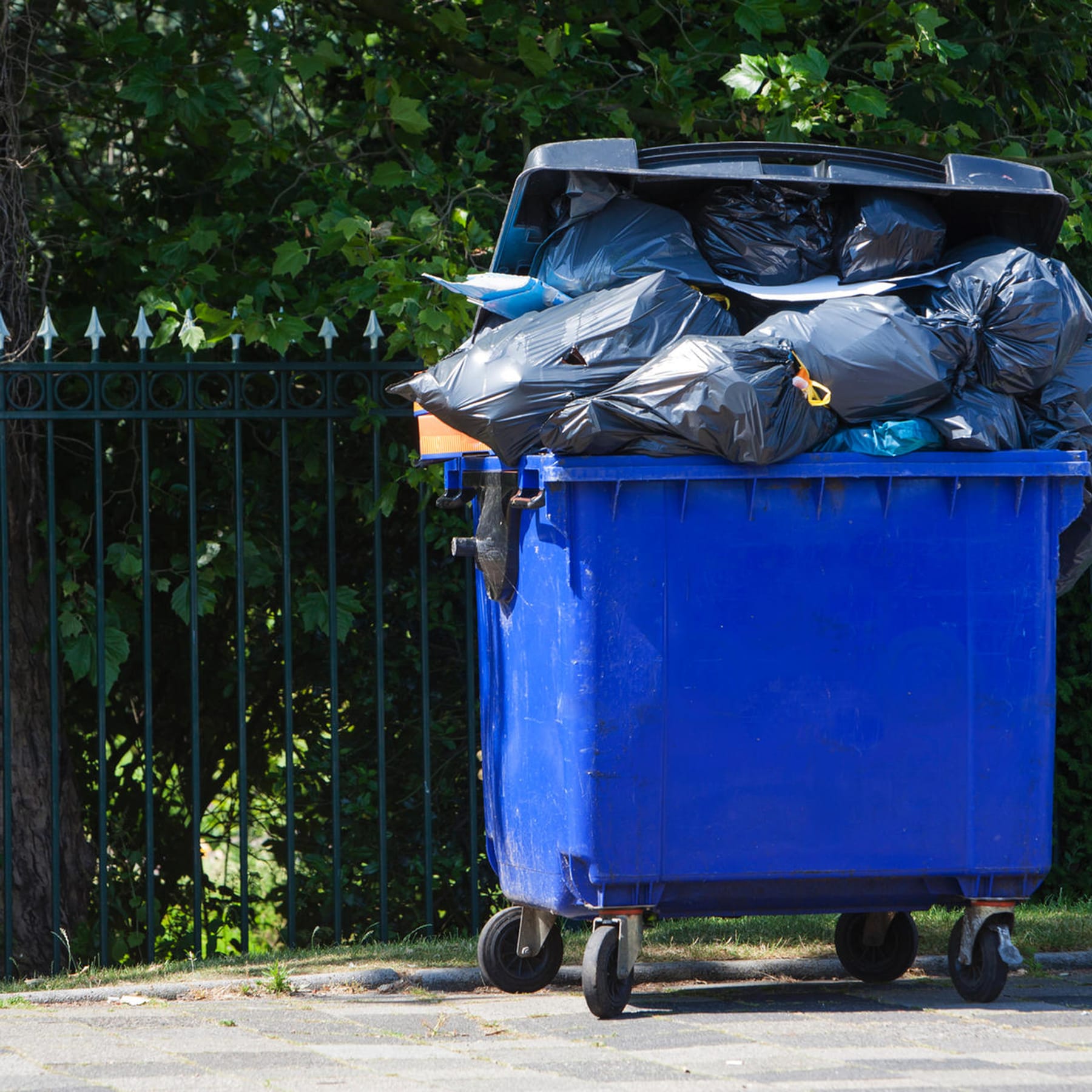 Müllabfuhr: Bei diesen Fehlern wird der Abfall nicht abgeholt
