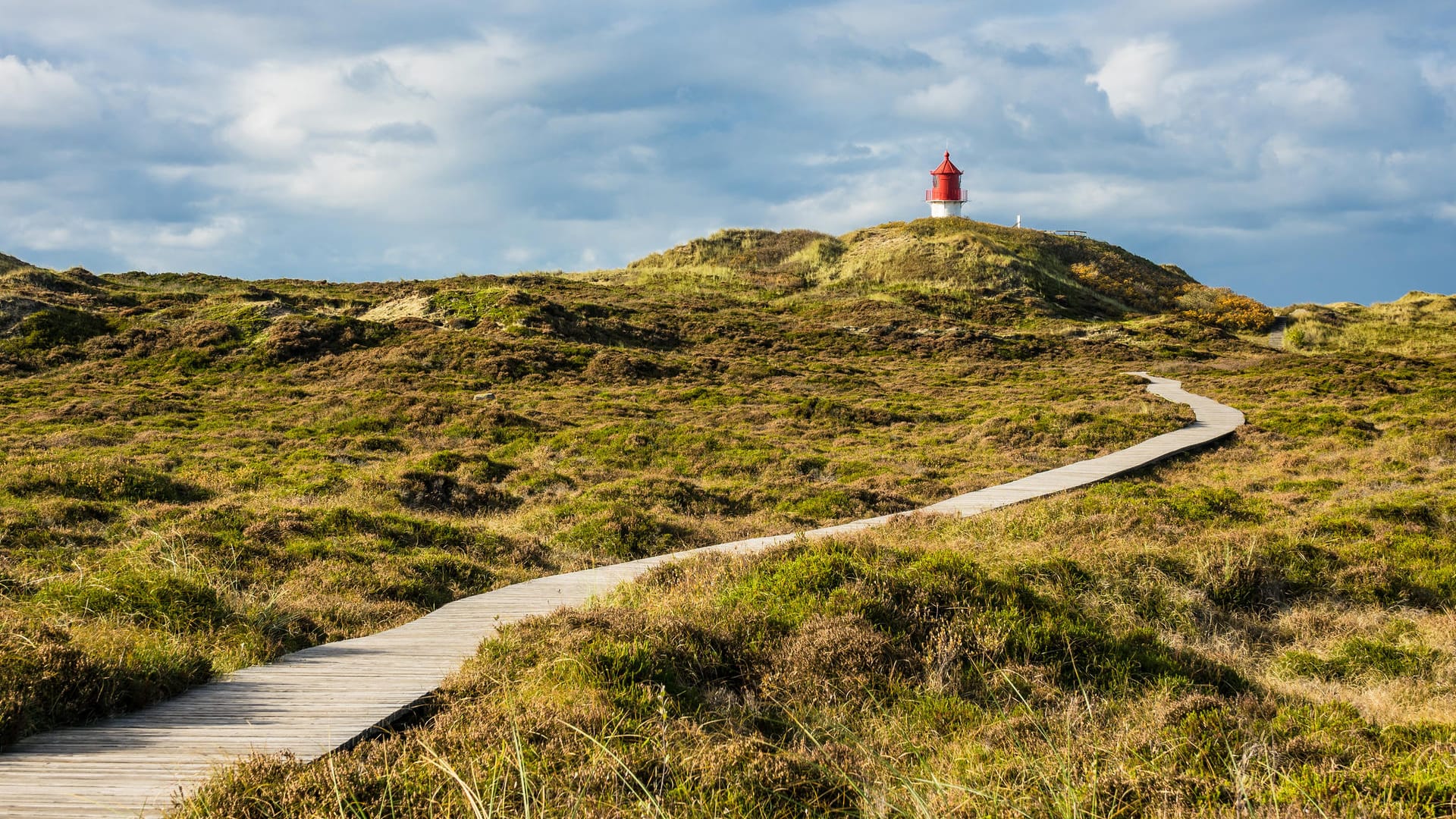 Amrum: Ein Bohlenweg führt zum Leuchtturm der Insel.