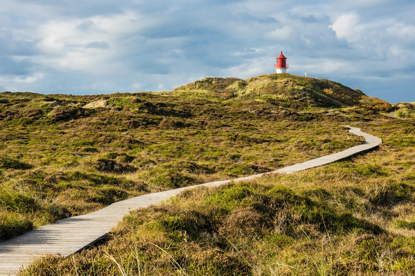 Amrum: Ein Bohlenweg führt zum Leuchtturm der Insel.