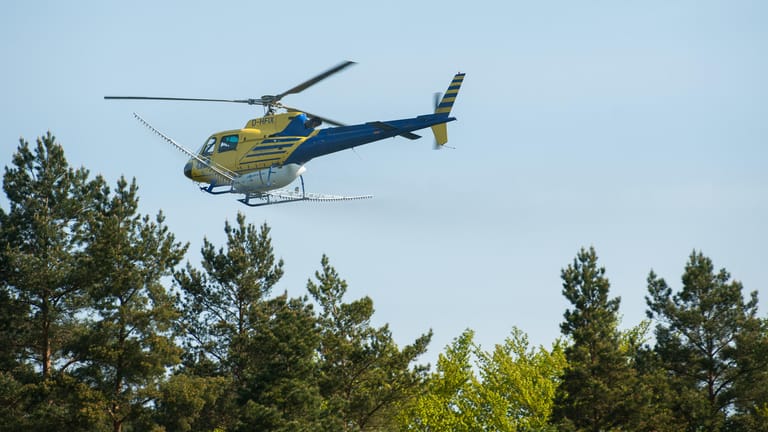 Hubschrauber versprüht Gift gegen den Eichenprozessionsspinner