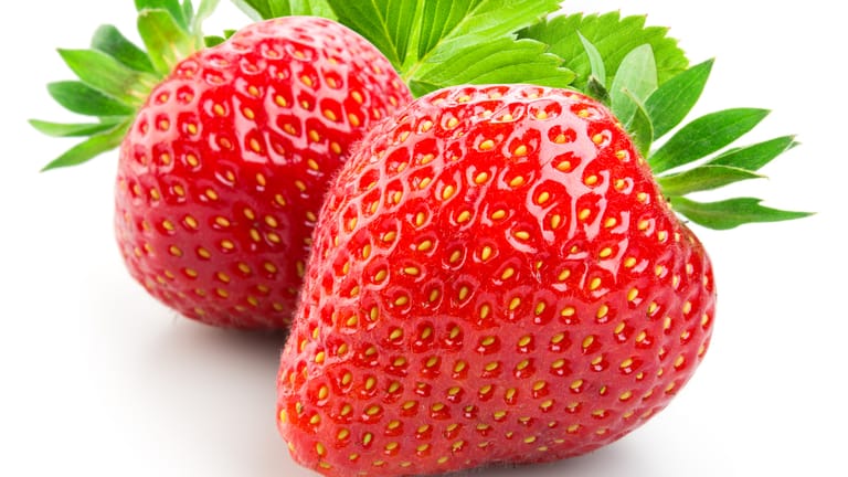 Erdbeeren: Die gelben "Punkte" sind die einsamigen Nüsse oder Samen der Scheinfrucht.