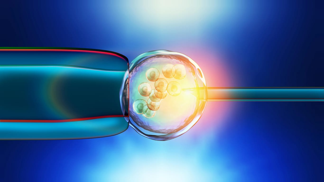 3-D-Illustration einer In-vitro-Fertilisation.
