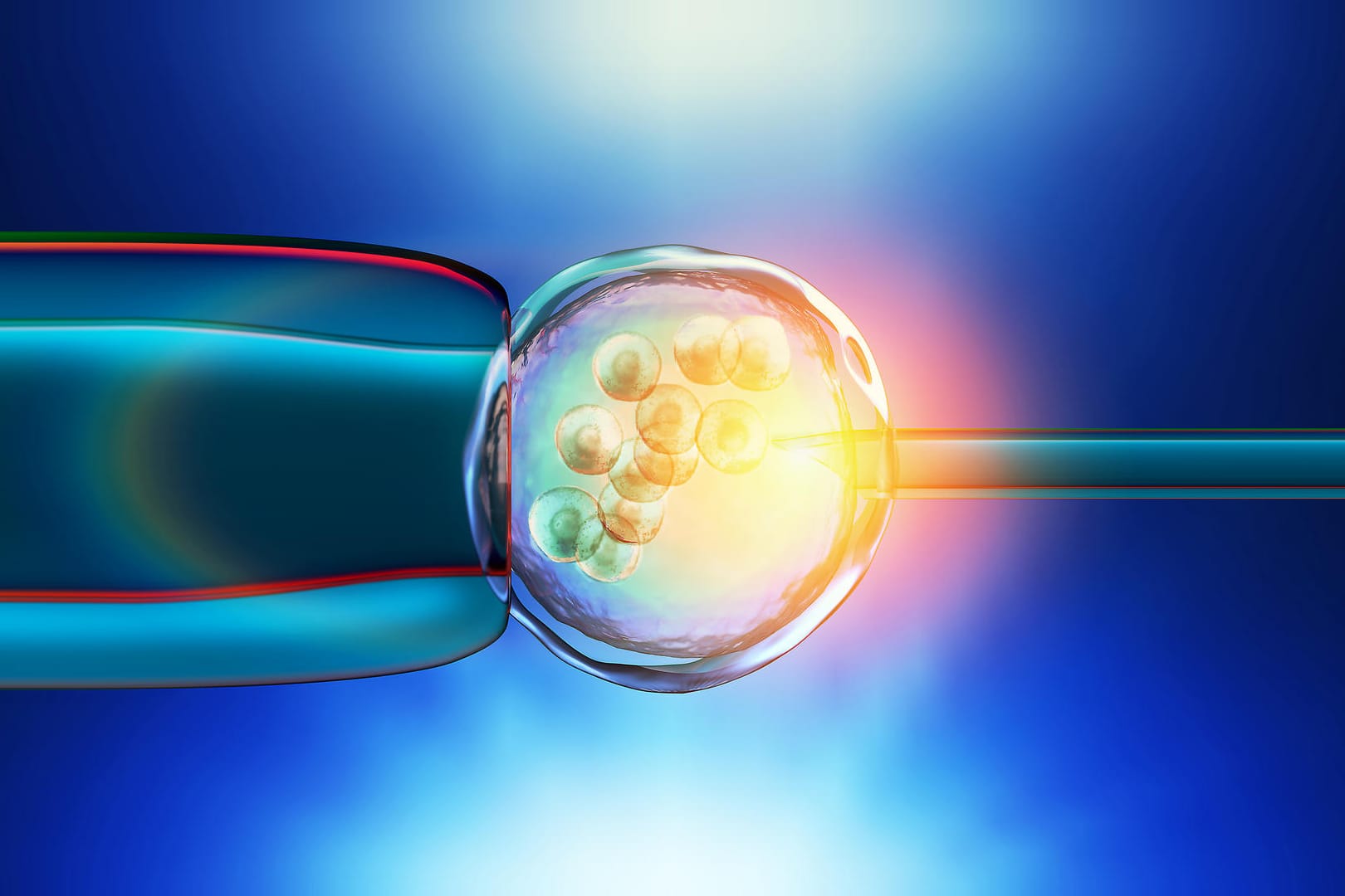 3-D-Illustration einer In-vitro-Fertilisation.