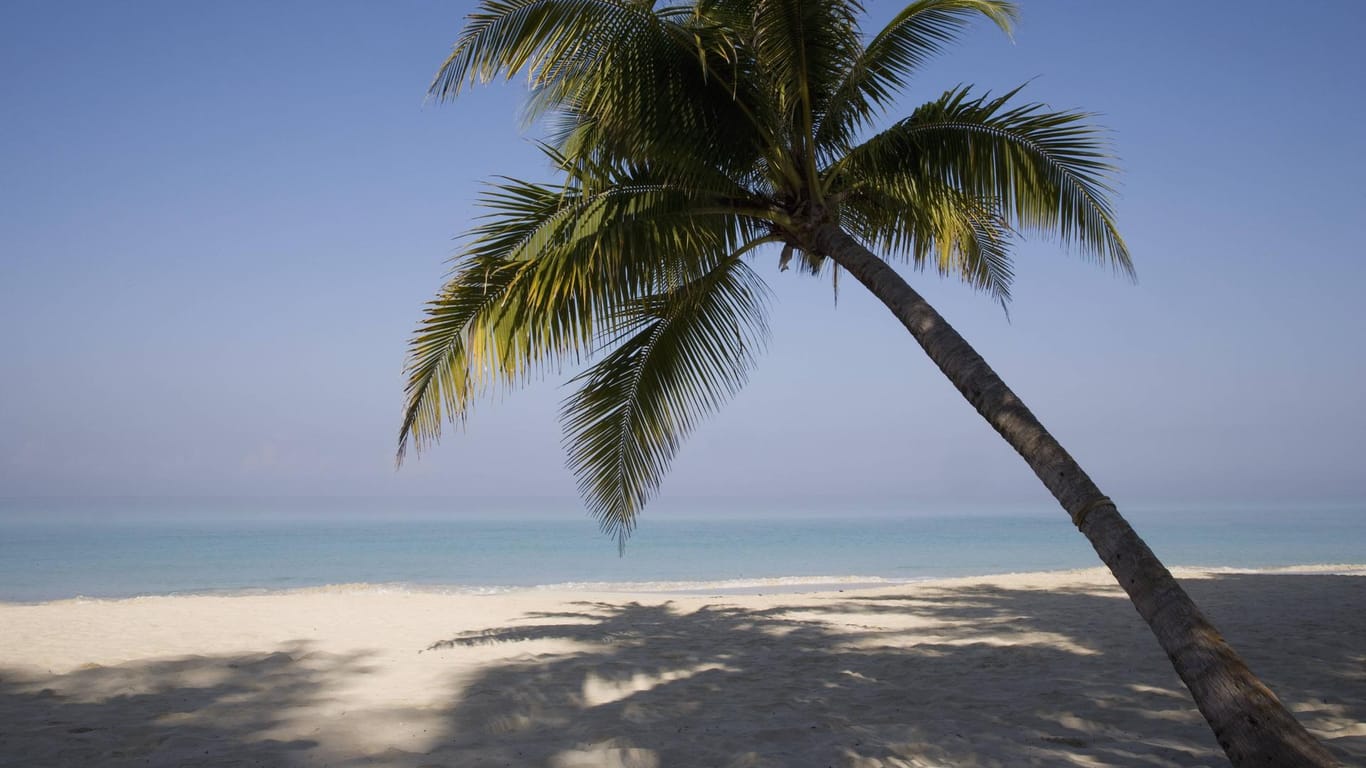 Strand in Negril: In der Kleinstadt im Westen Jamaikas befindet sich das Nudisten-Resort Hedonism II.
