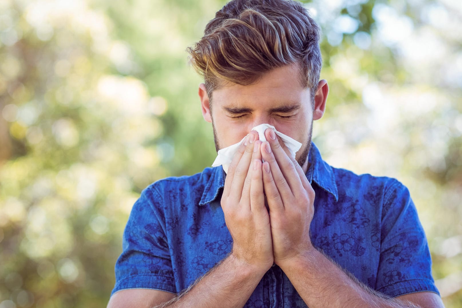 Niesen: Insbesondere Frühblüher und Gräser führen bei den Betroffenen zu allergischem Schnupfen.