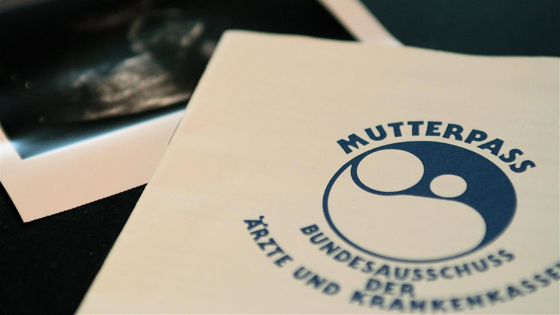 Mutterpass Schwangerschaft Baby Mutterschaft Schwanger original & Neu 