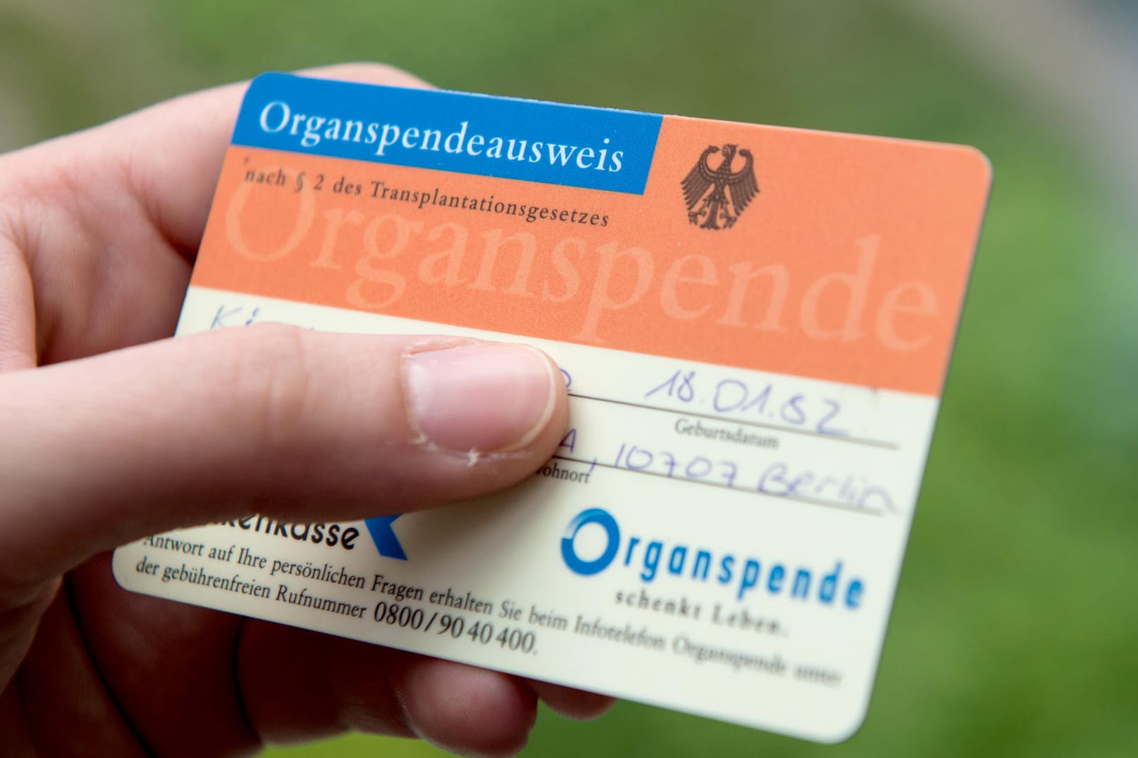 Organspendeausweis: Nur wer eine entsprechende Bewilligung erteilt hat, stellt seine Organe nach seinem Tod anderen Menschen zur Verfügung.