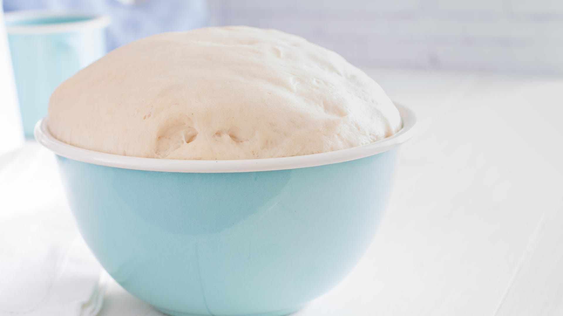 Hefeteig: Wer den Hefeteig nicht am selben Tag backen möchte, kann ihn für kurze Zeit im Kühlschrank lagern.