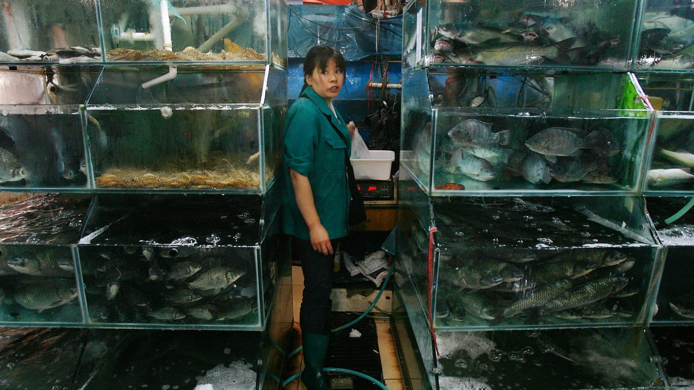Fischmarkt in China: Zur Verbreitung des Coronavirus gibt es neue Erkenntnisse.