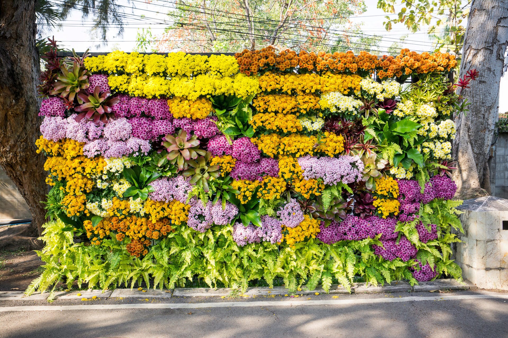 Sichtschutz: Wer es grün mag, kann einen Sichtschutz aus Rankpflanzen aufstellen oder eine Mauer mit Blumen bepflanzen.
