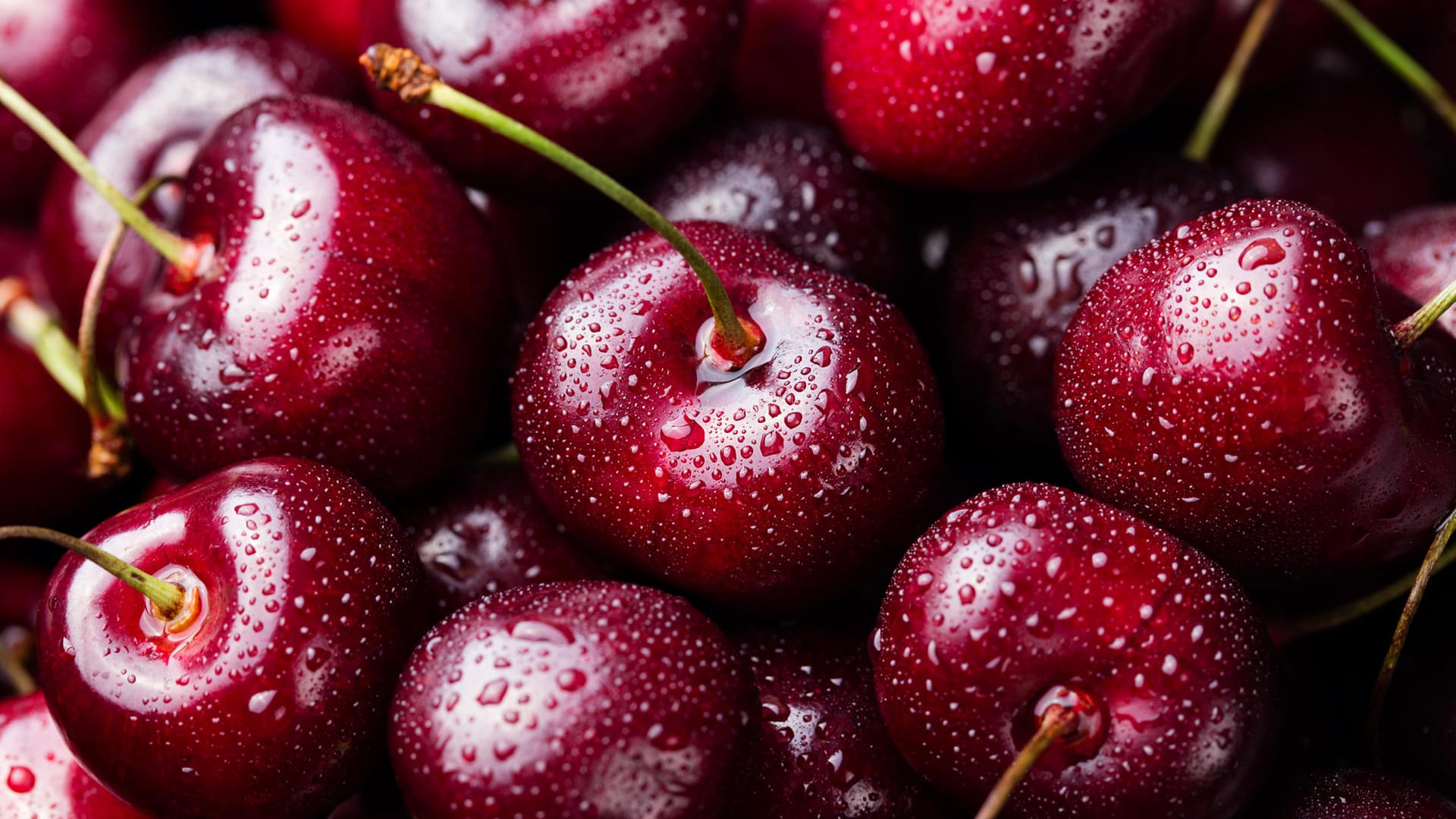 Kirschen: Frisch gepflückt schmecken sie am besten.