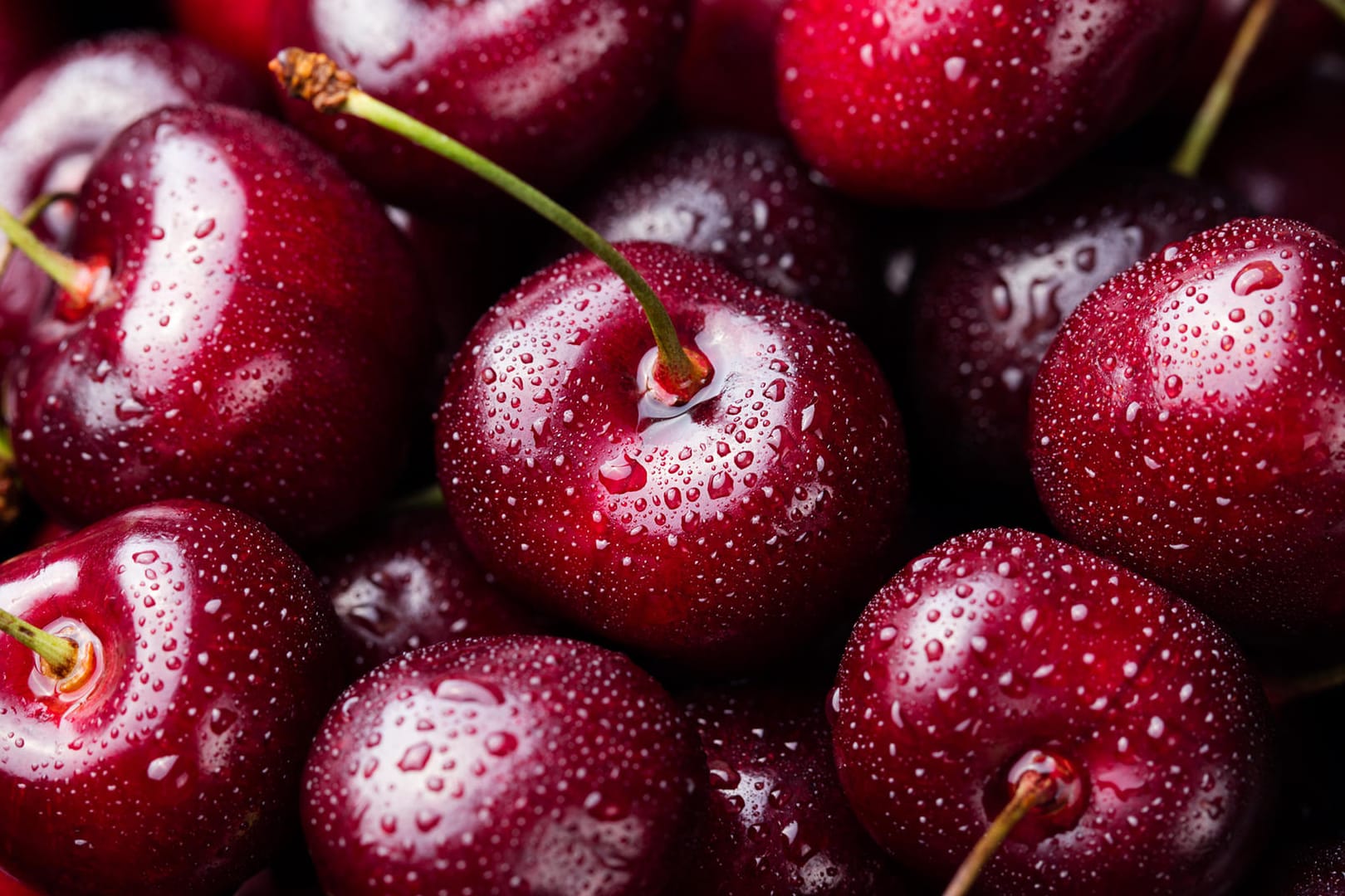 Kirschen: Frisch gepflückt schmecken sie am besten.