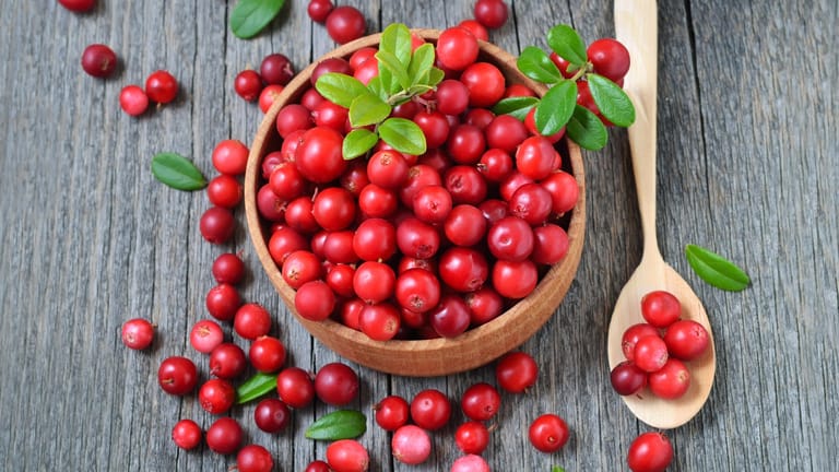 Cranberrys: Die kirschgroßen Beeren schmecken säuerlich, sind aber etwas milder als Preiselbeeren.