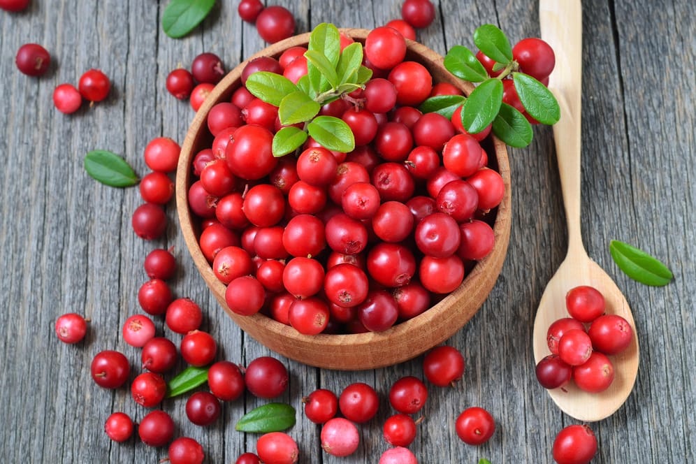 Cranberrys: Die kirschgroßen Beeren schmecken säuerlich, sind aber etwas milder als Preiselbeeren.