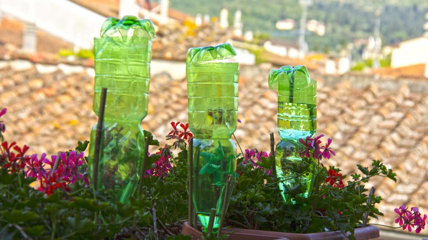Bewässerung: Durch die umgedrehten Wasserflaschen trocknen die Pflanzen auch bei Ihrer Abwesenheit nicht aus.