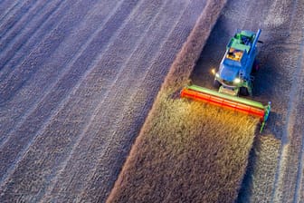 Mähdrescher ernten nach Sonnenuntergang ein Roggenfeld ab: Die Getreideernte fällt in diesem Jahr geringer aus als 2019.