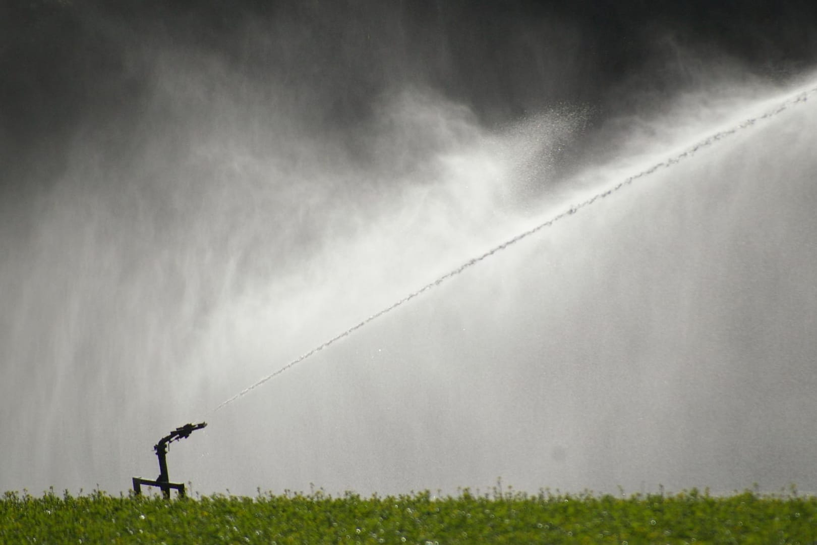 Wasserverregnung auf einem Feld: Die Wolfsburger Entwässerungsbetriebe setzen verstärkt auf Wasserrecycling.