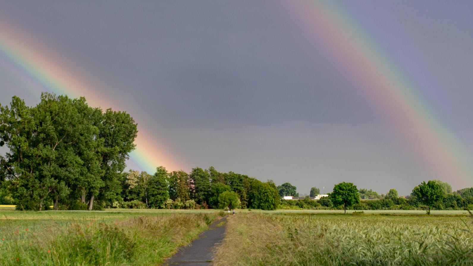 Regenbögen: Das Wetter bleibt wechselhaft (Symbolbild). Regenbögen: Das Wetter bleibt wechselhaft (Symbolbild).