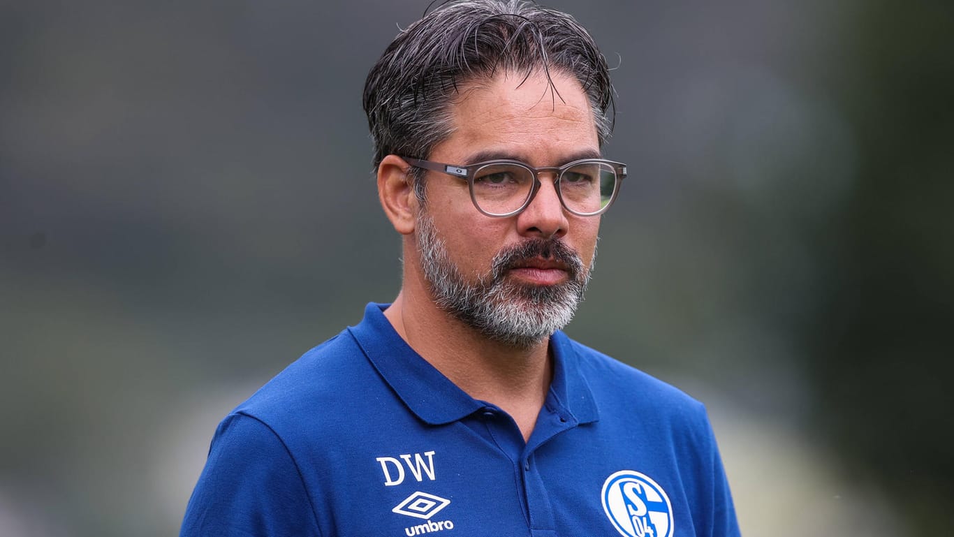 David Wagner: Der Schalke-Trainer hätte gerne eine ruhigere Vorbereitung erlebt.