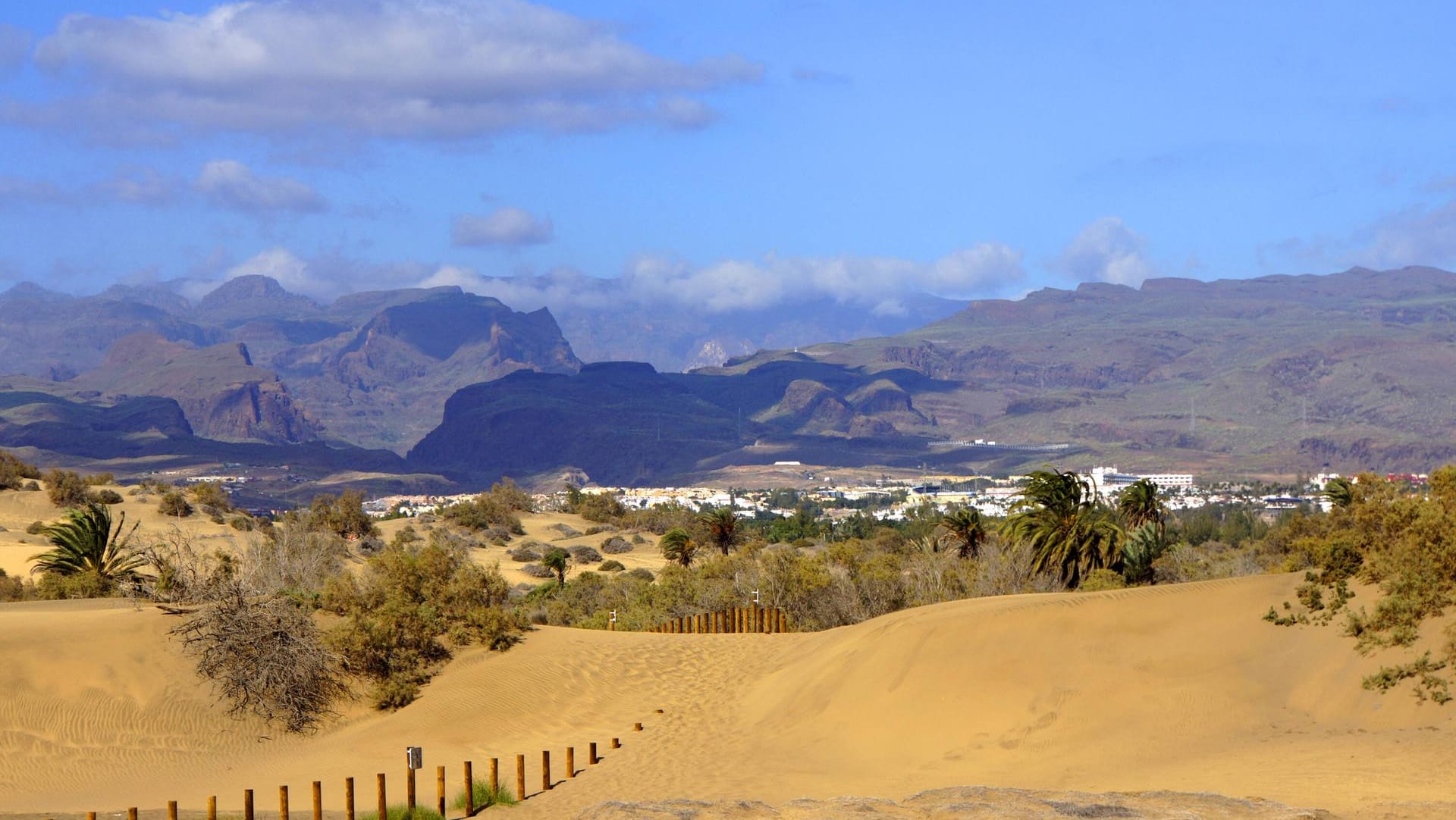 Blick über die Dünen von Maspalomas: Die Kanarischen Inseln waren bislang nicht so stark vom Coronavirus betroffen wie das spanische Festland