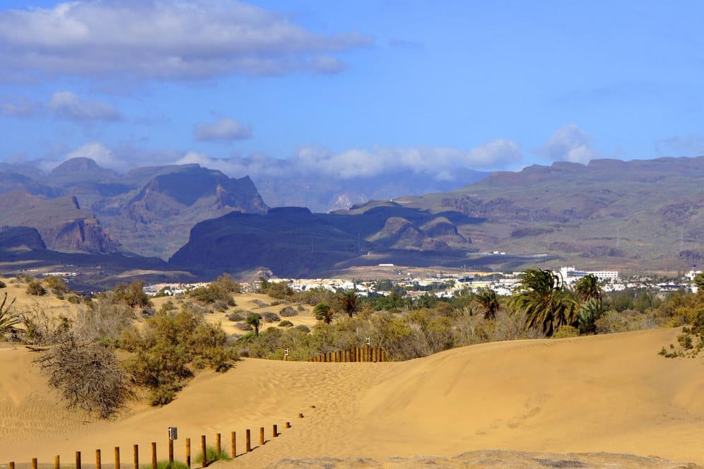 Blick über die Dünen von Maspalomas: Die Kanarischen Inseln waren bislang nicht so stark vom Coronavirus betroffen wie das spanische Festland