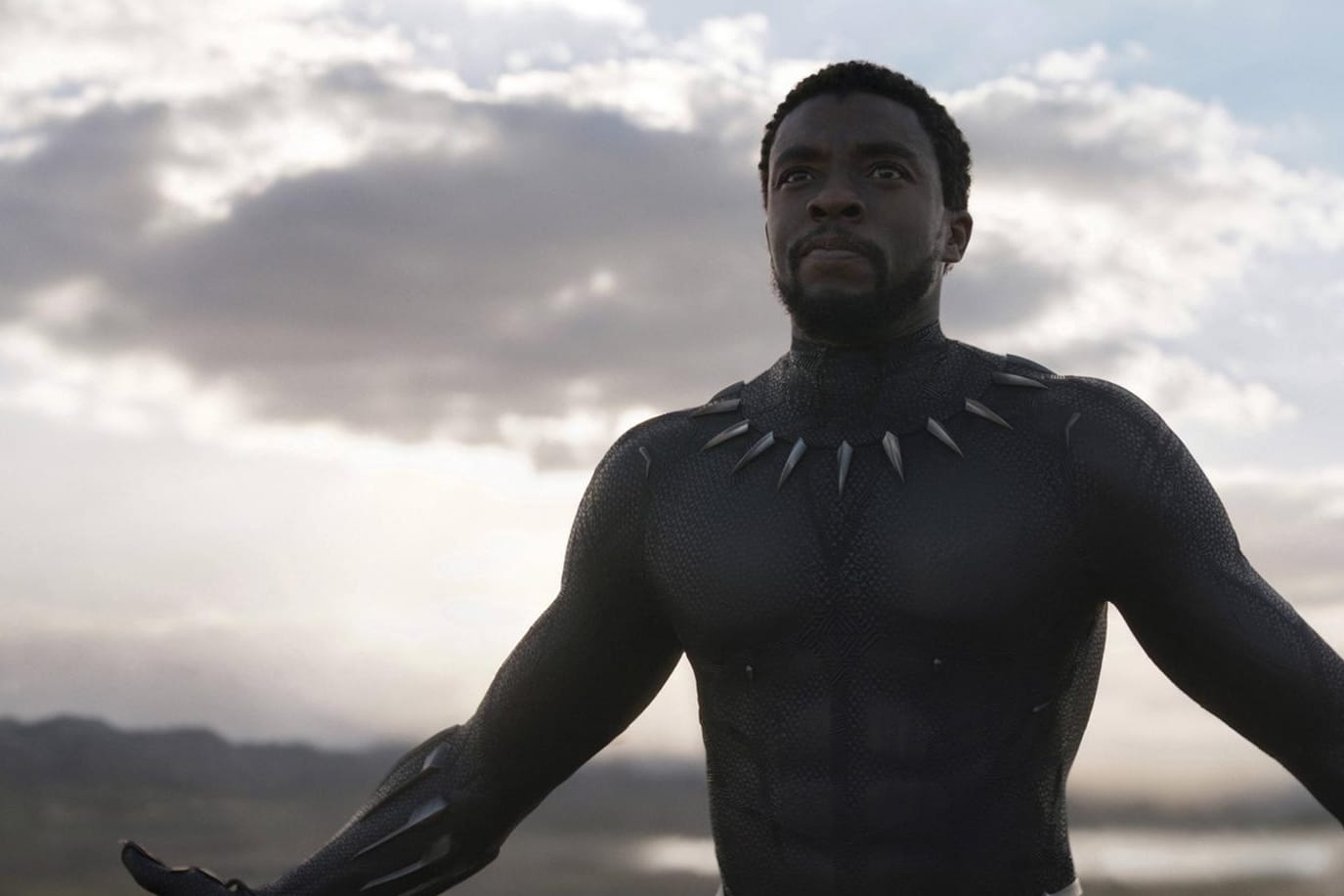 Chadwick Boseman: Der "Black Panther"-Hauptdarsteller ist mit 43 Jahren gestorben.