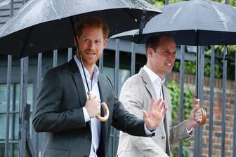 William und Harry: Die Brüder im Jahr 2017 zum 20. Todestag ihrer Mutter Diana