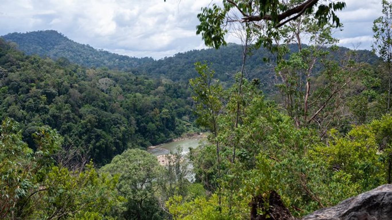 Der Fluss Tahan fließt durch den Regenwald im National Park Taman Negara in Malaysia.
