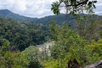 Der Fluss Tahan fließt durch den Regenwald im National Park Taman Negara in Malaysia.