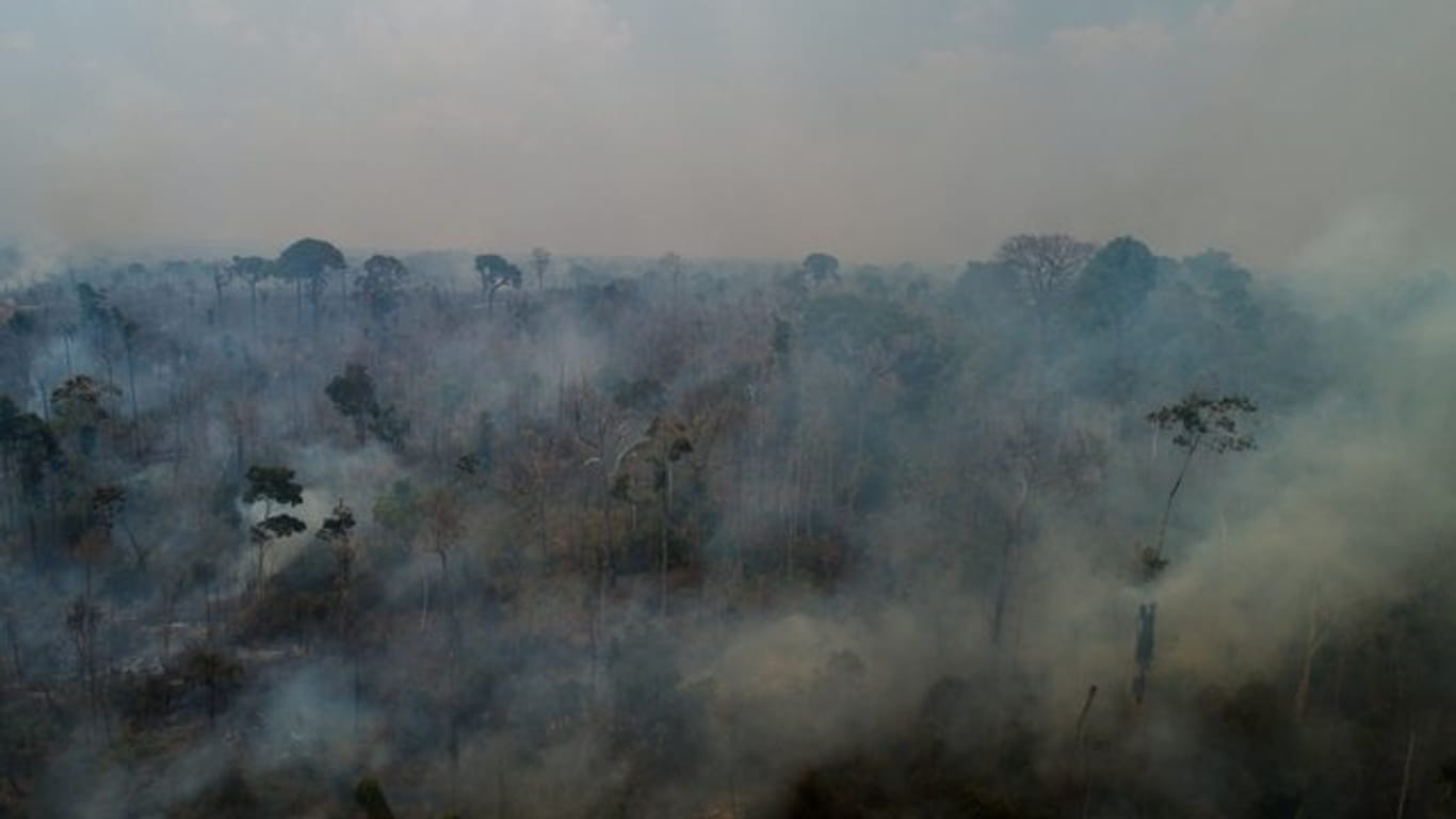 Die meisten Brände im brasilianischen Regenwald werden Experten zufolge gelegt, um Flächen für Landwirtschaft und Viehzucht bereitzustellen.