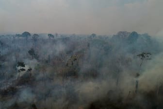 Die meisten Brände im brasilianischen Regenwald werden Experten zufolge gelegt, um Flächen für Landwirtschaft und Viehzucht bereitzustellen.
