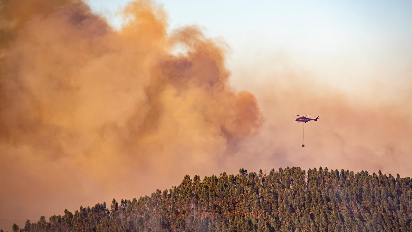 Andalusien: Die Rettungskräfte versuchen die Feuer mit Unterstützung aus der Luft zu kontrollieren.