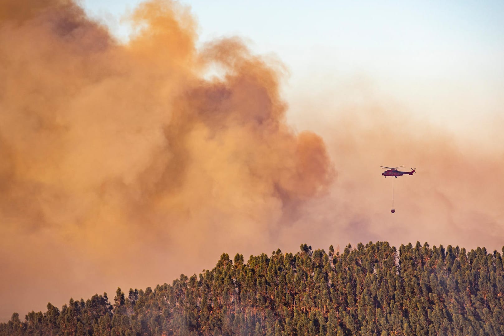 Andalusien: Die Rettungskräfte versuchen die Feuer mit Unterstützung aus der Luft zu kontrollieren.