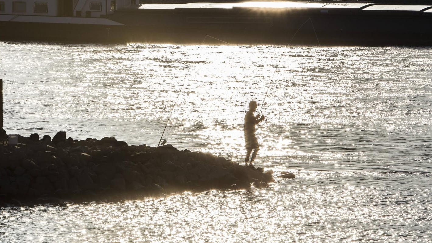 Ein Angler am Rheinufer (Symbolbild): Die Stadt Mainz ist zu einem der besten Orte zum Angeln gewählt worden. Ein Angler am Rheinufer (Symbolbild): Die Stadt Mainz ist zu einem der besten Orte zum Angeln gewählt worden.