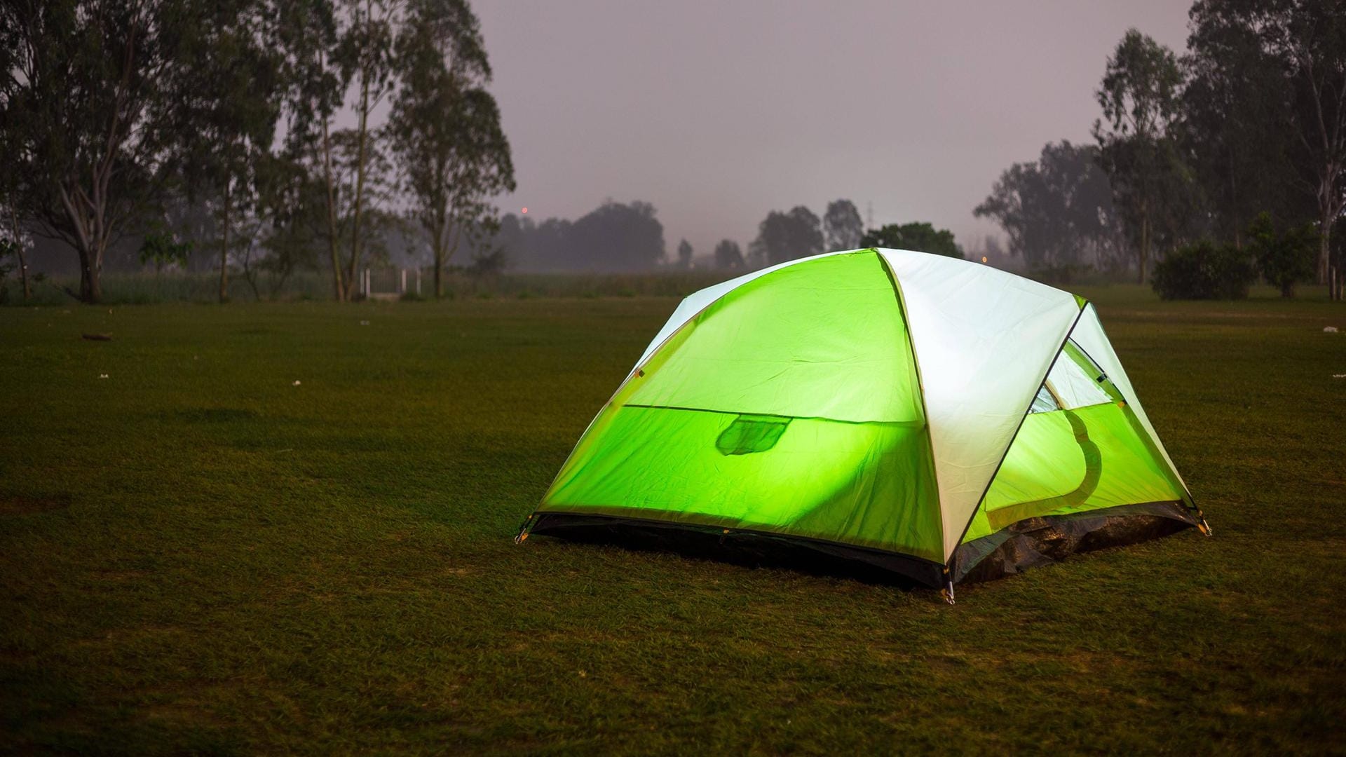Ein Zelt: Im Berliner Tiergarten ist eine Camping-Behausung in Brand gesetzt worden.
